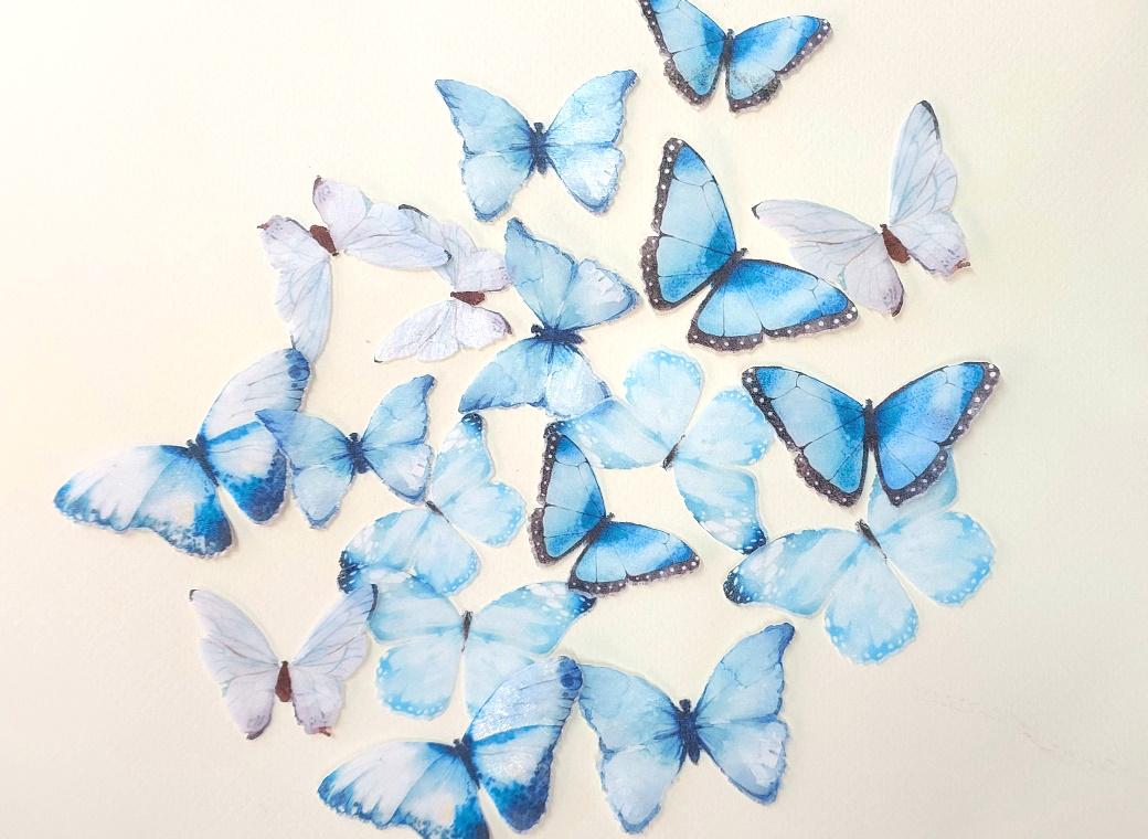 Edible Wafer Toppers - Blue Butterflies