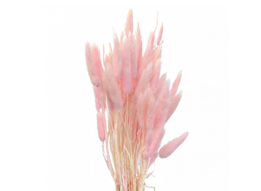 Bunny Tails 10pk Light Pink