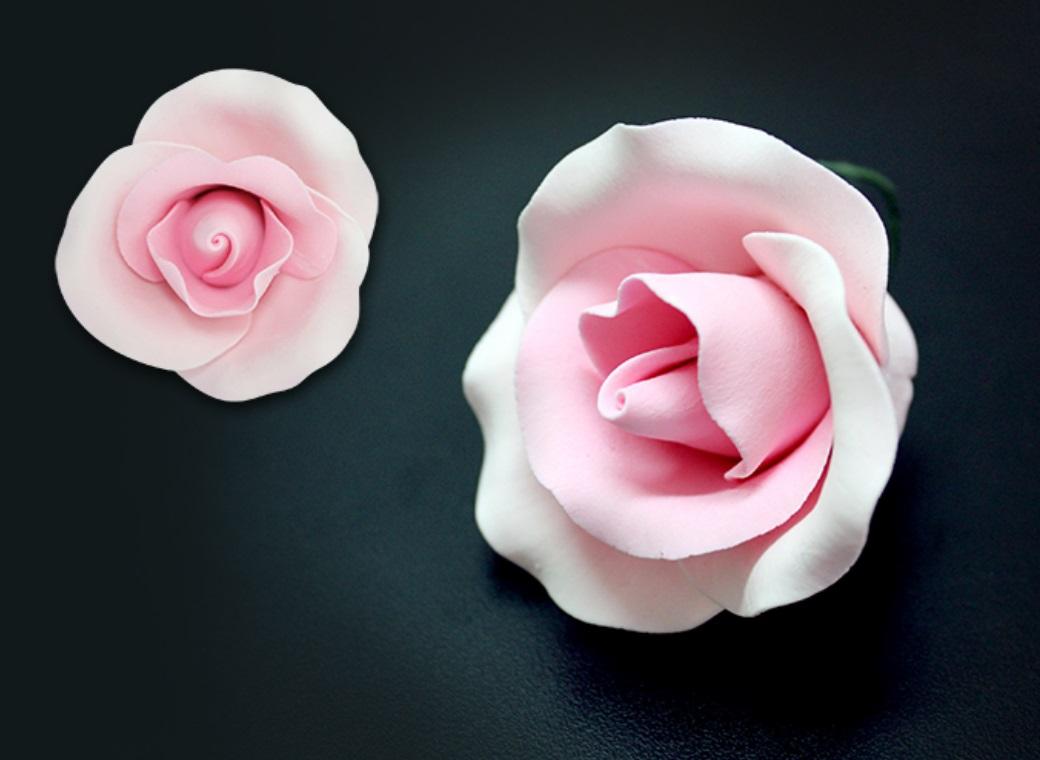 Single Gumpaste Rose Medium - Pink