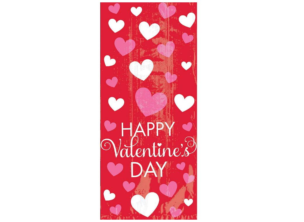 Valentine's Day Cello Treat Bags 20pk